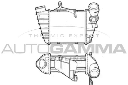 Теплообменник AUTOGAMMA 103637