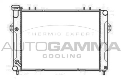 Радиатор, охлаждение двигателя AUTOGAMMA 103665