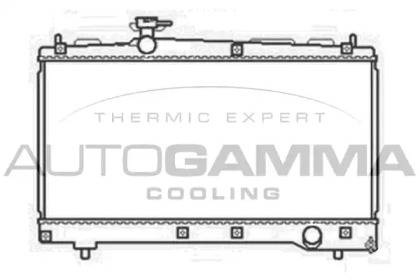 Теплообменник AUTOGAMMA 103712