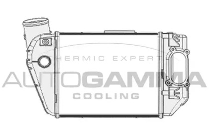 Теплообменник AUTOGAMMA 103774