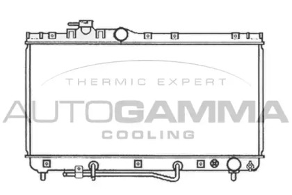 Теплообменник AUTOGAMMA 103785