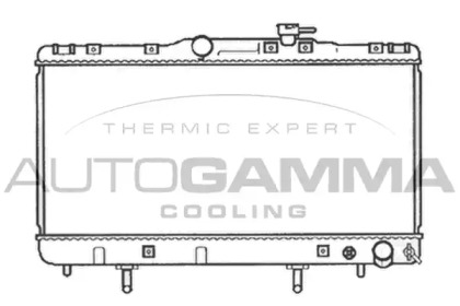 Теплообменник AUTOGAMMA 103786