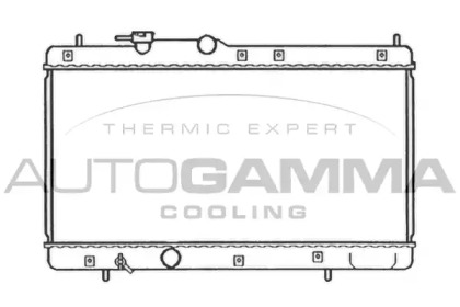 Теплообменник AUTOGAMMA 103788