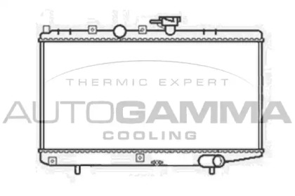 Теплообменник AUTOGAMMA 103817