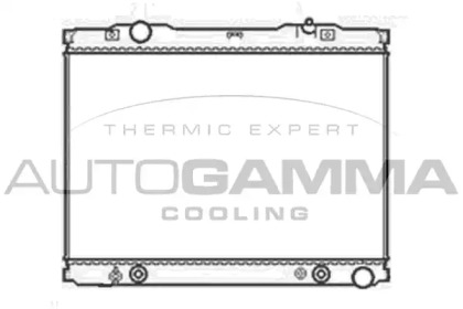 Теплообменник AUTOGAMMA 103849