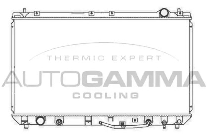 Теплообменник AUTOGAMMA 103851