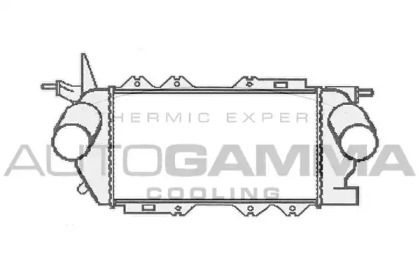 Интеркулер AUTOGAMMA 103856