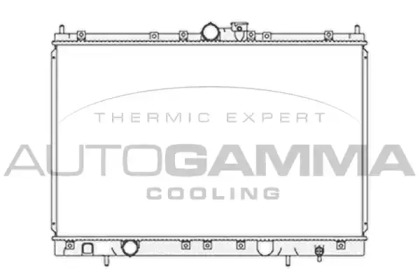 Теплообменник AUTOGAMMA 103865