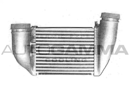 Теплообменник AUTOGAMMA 103884