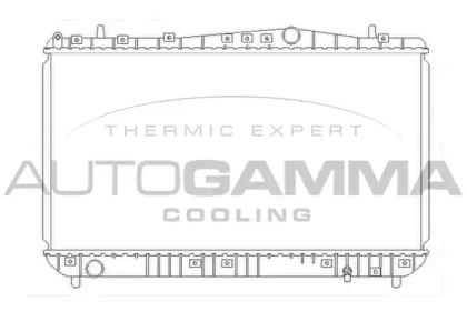 Теплообменник AUTOGAMMA 103905