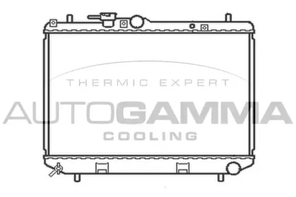 Теплообменник AUTOGAMMA 103913