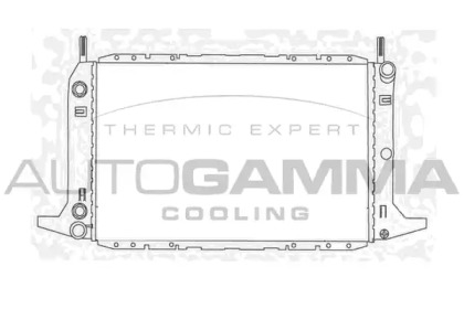 Теплообменник AUTOGAMMA 103921