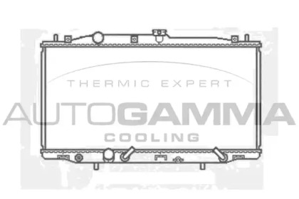 Теплообменник AUTOGAMMA 103926