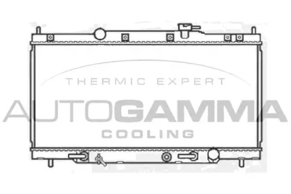 Теплообменник AUTOGAMMA 103929