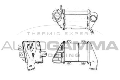 Теплообменник AUTOGAMMA 103950