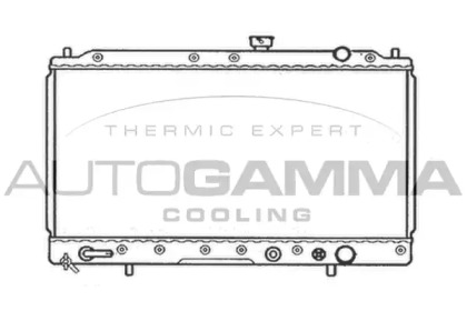 Теплообменник AUTOGAMMA 103959