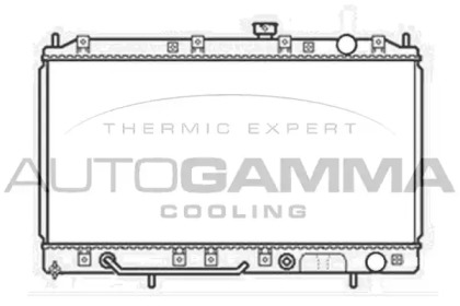 Теплообменник AUTOGAMMA 103962