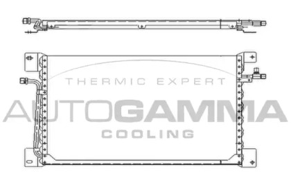 Конденсатор AUTOGAMMA 104019