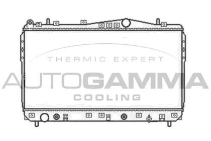 Теплообменник AUTOGAMMA 104056