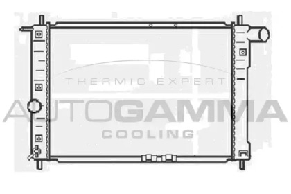 Теплообменник AUTOGAMMA 104059