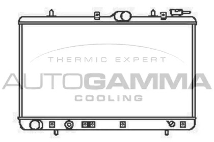 Теплообменник AUTOGAMMA 104061