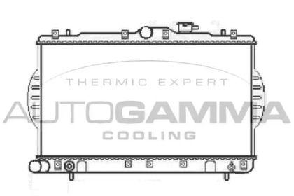 Теплообменник AUTOGAMMA 104062