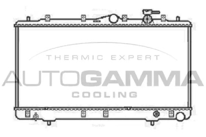 Теплообменник AUTOGAMMA 104063