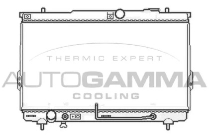 Теплообменник AUTOGAMMA 104065