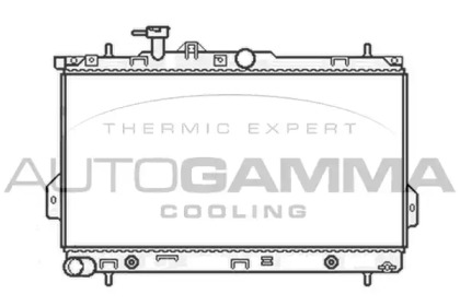 Теплообменник AUTOGAMMA 104067