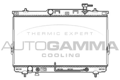 Теплообменник AUTOGAMMA 104070