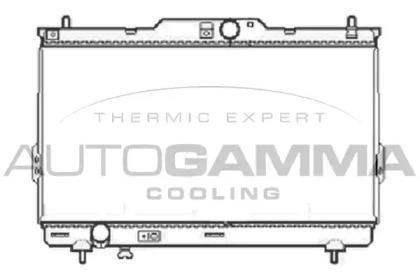 Теплообменник AUTOGAMMA 104073