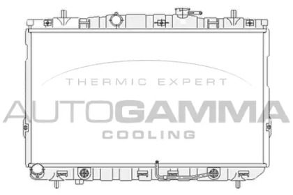 Теплообменник AUTOGAMMA 104077