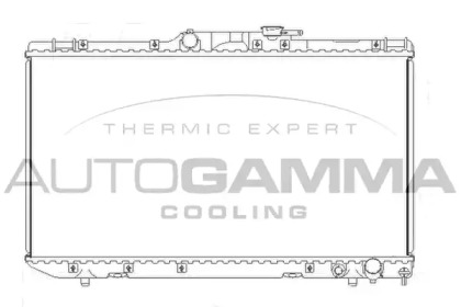 Теплообменник AUTOGAMMA 104118