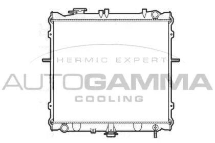 Теплообменник AUTOGAMMA 104119