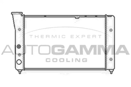 Теплообменник AUTOGAMMA 104135