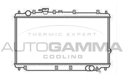 Теплообменник AUTOGAMMA 104146