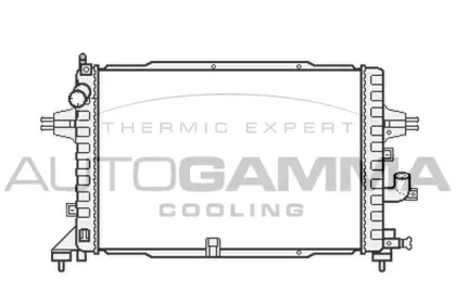 Теплообменник AUTOGAMMA 104158