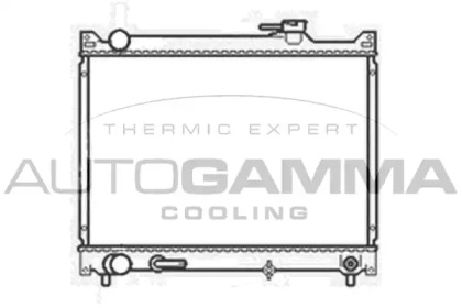 Теплообменник AUTOGAMMA 104161