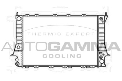 Теплообменник AUTOGAMMA 104166