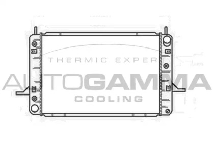 Теплообменник AUTOGAMMA 104171