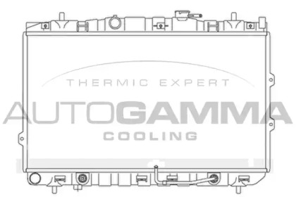 Теплообменник AUTOGAMMA 104174