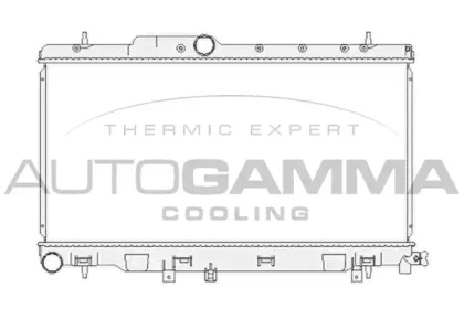 Теплообменник AUTOGAMMA 104187