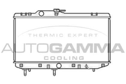 Теплообменник AUTOGAMMA 104192