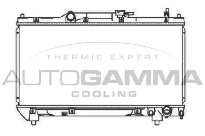 Теплообменник AUTOGAMMA 104194