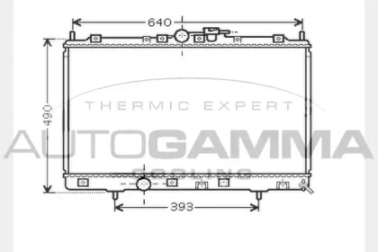 Теплообменник AUTOGAMMA 104294