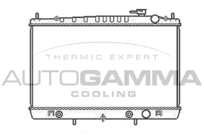 Теплообменник AUTOGAMMA 104296