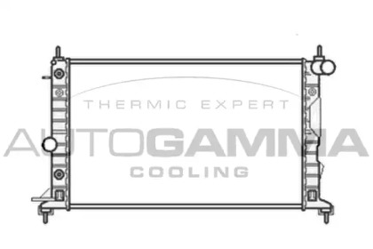 Теплообменник AUTOGAMMA 104316