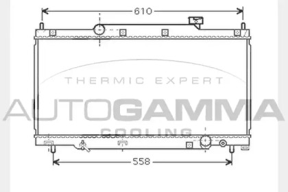 Теплообменник AUTOGAMMA 104319