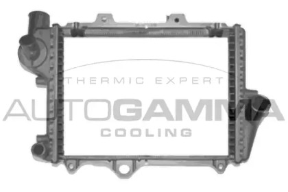 Теплообменник AUTOGAMMA 104325