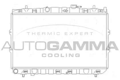 Теплообменник AUTOGAMMA 104474